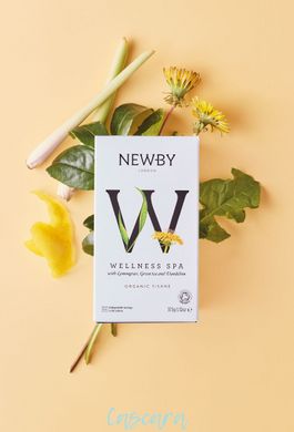 Травяной чай Newby Велнес Спа 25 пакетиков