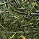 Зелений чай ENRICH №17 Органічна Сенча Сатцума 100 г