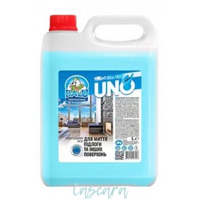 Засіб для миття підлоги та інших поверхонь BALU UNO Blue Sky 5 л