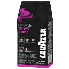 Кава в зернах LavAzza Expert Gusto Forte 1 кг