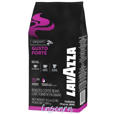 Кава в зернах LavAzza Expert Gusto Forte 1 кг