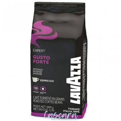 Кофе в зернах LavAzza Expert Gusto Forte 1 кг