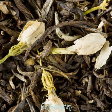 Зеленый чай Dammann Жасмин 25 шт по 2 г